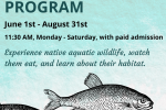 Aquarium Program
