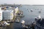 Marlin Fest Marlin Fest