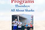 Free Summer Programs: All About Sharks